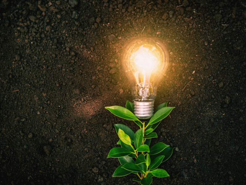 lichtbulb