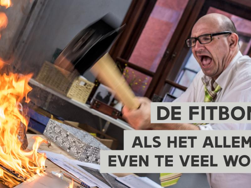 FitBonus visual